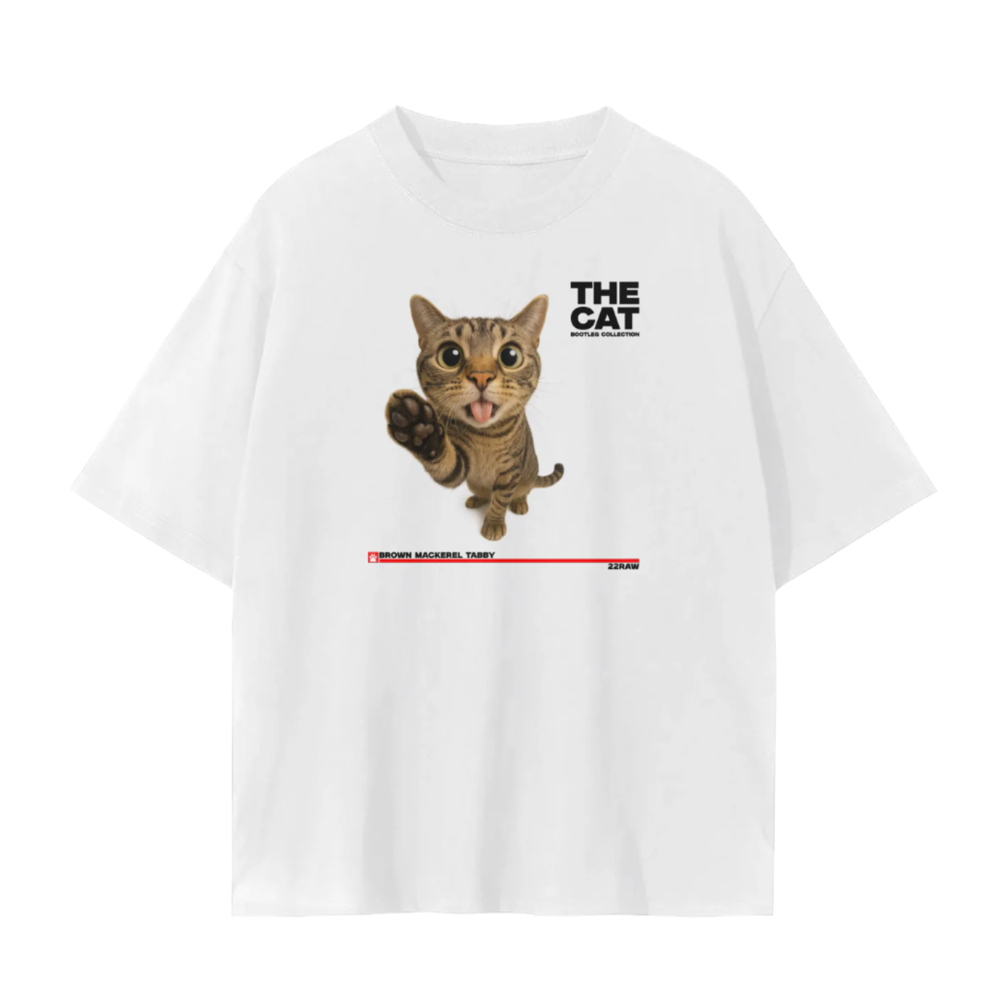 Brown Tabby Cat