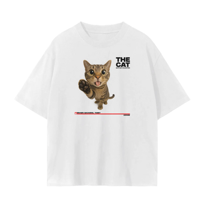 Brown Tabby Cat