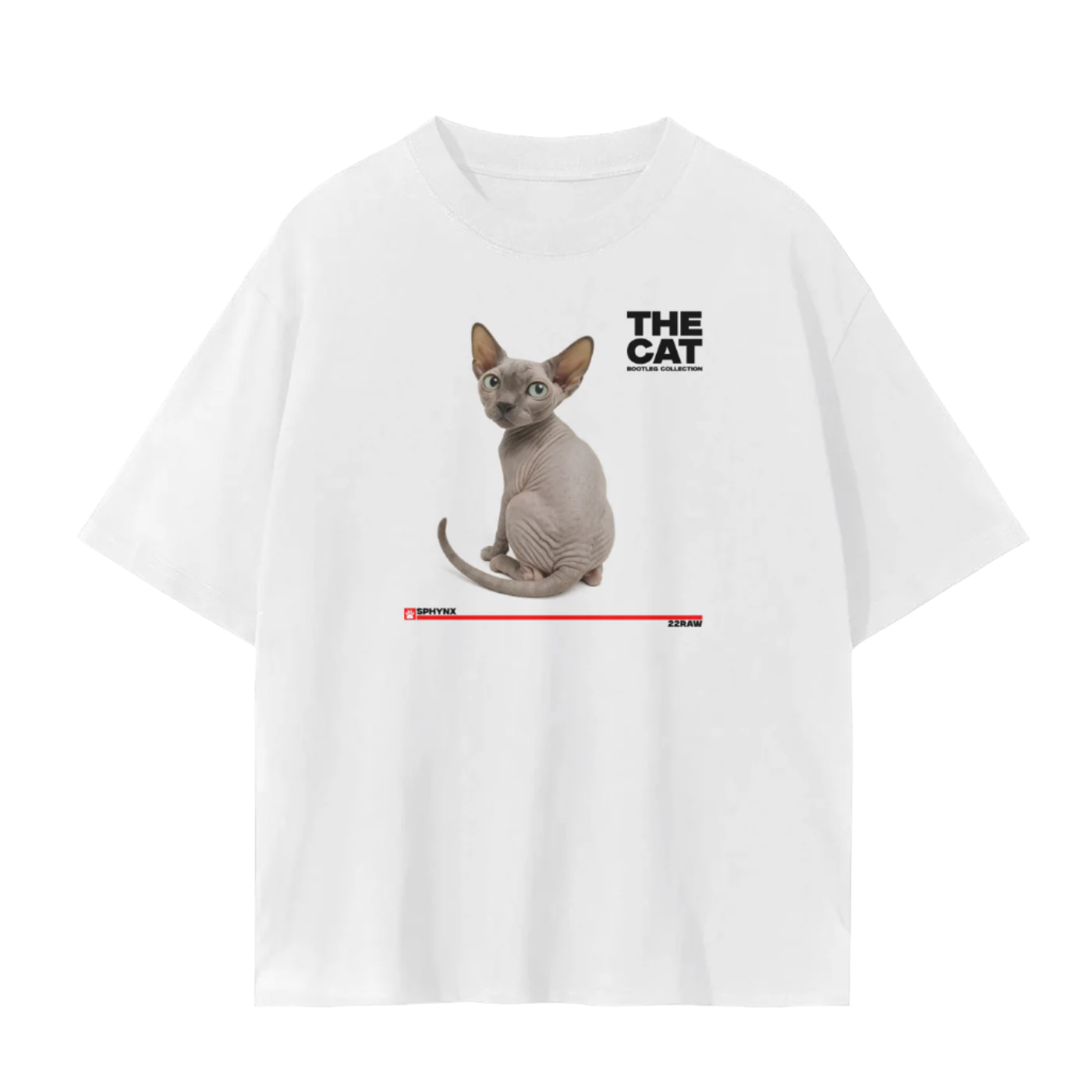 Sphynx Cat