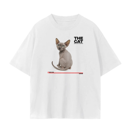 Sphynx Cat